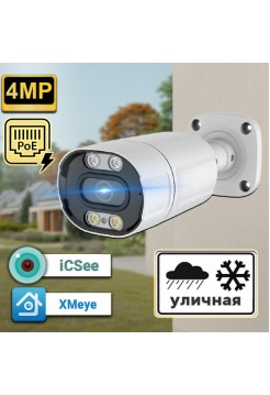 IP камера 4Мп с POE, RVH